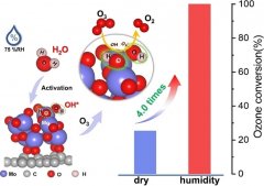 高濕度環境下臭氧在氧化鉬/石墨炔納米墻快速分解